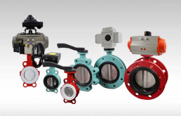 Butterfly Valve