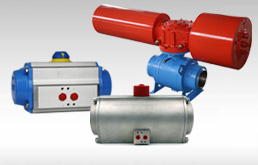 Pneumatic Actuator